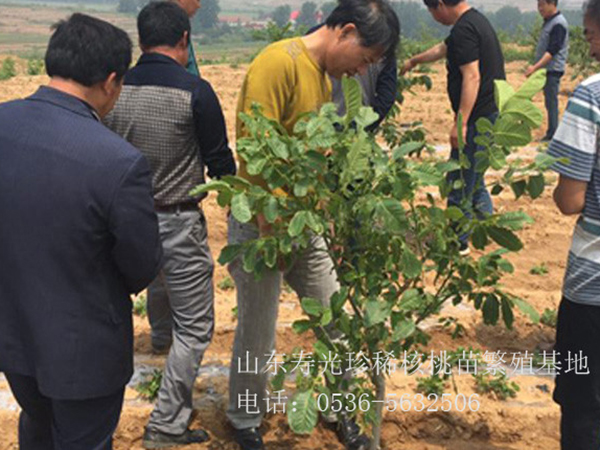 售后現(xiàn)場指導